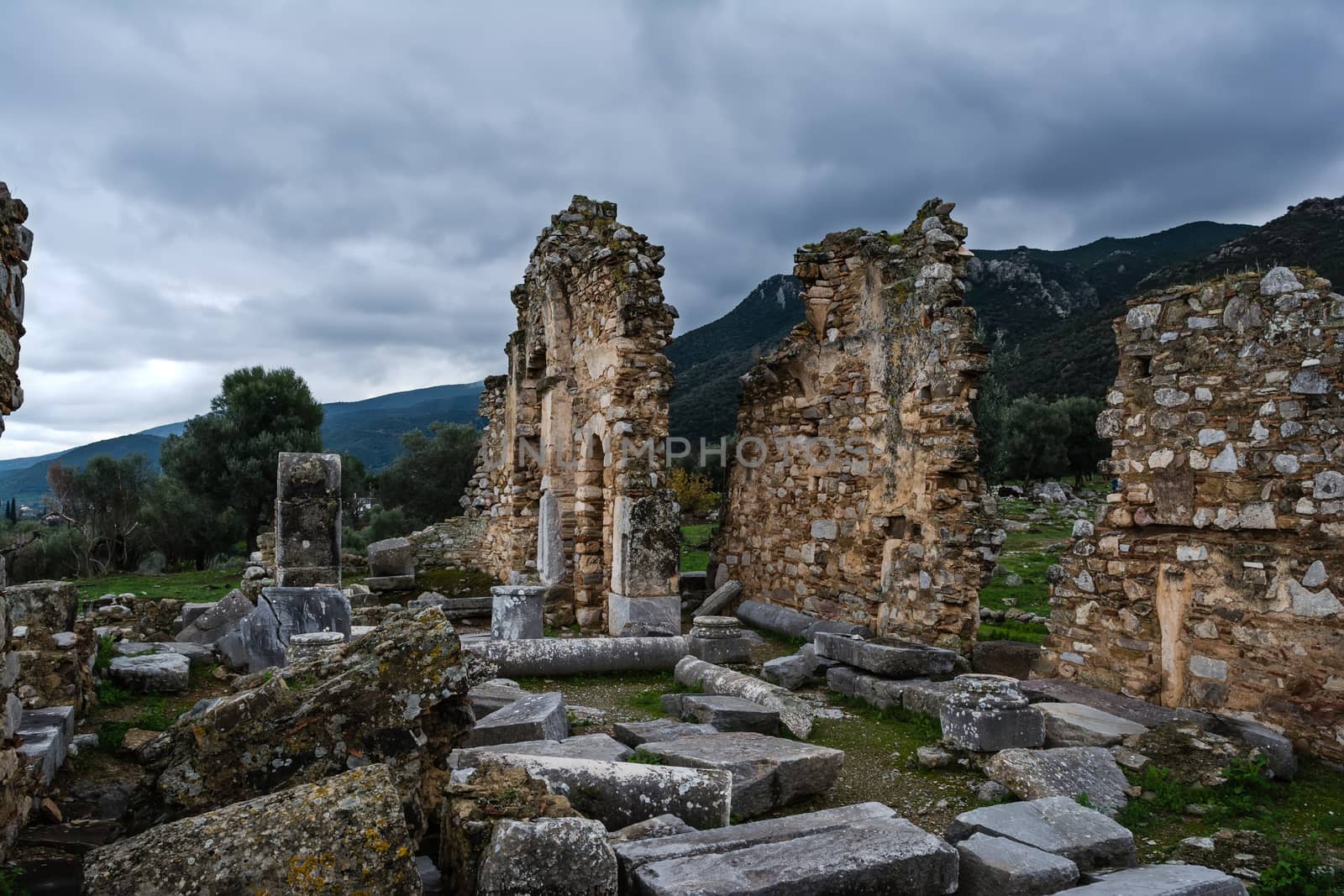 Pillar ruins at Ancient Troizina , Peloponnese, Greece