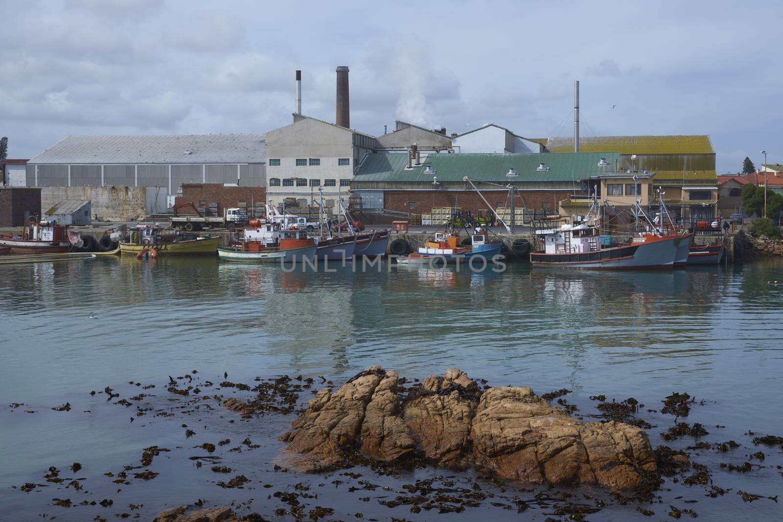 Fishing boats tied up alongside at the fishing port of Lamberts Bay in the Western Cape of South Africa
