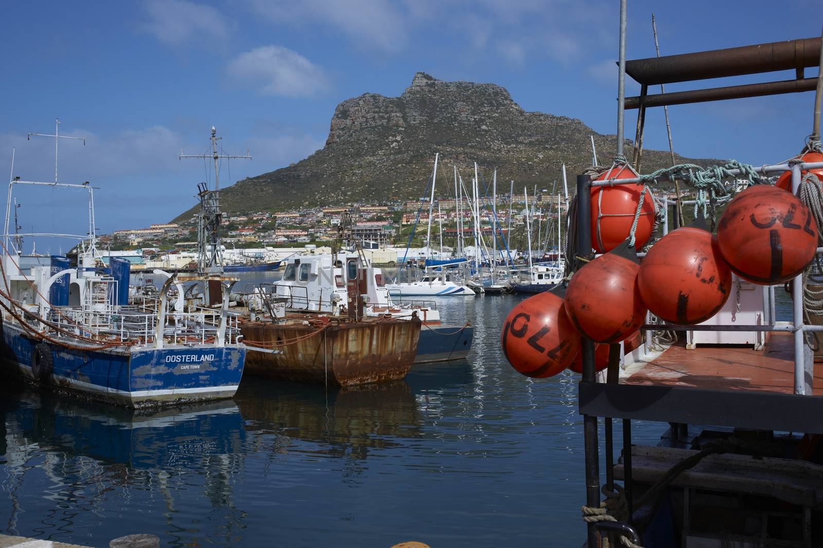 Fishing boats in the harbor at Houts Bay in South Africa