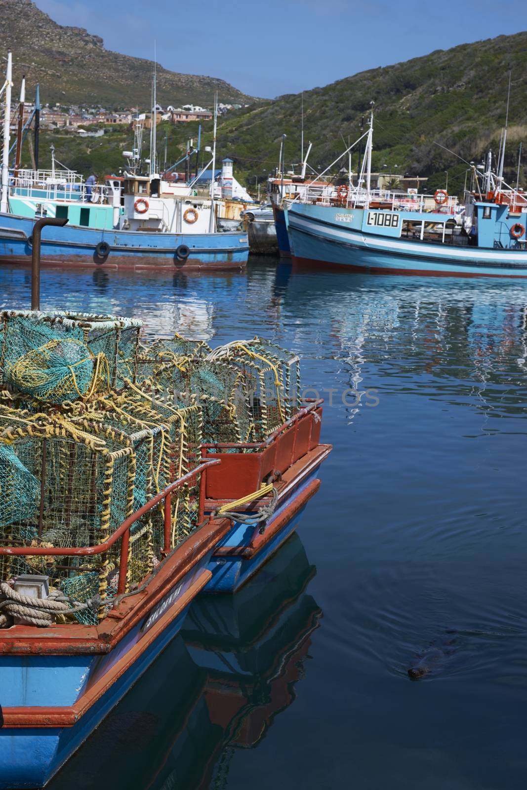 Fishing boats in the harbor at Houts Bay in South Africa