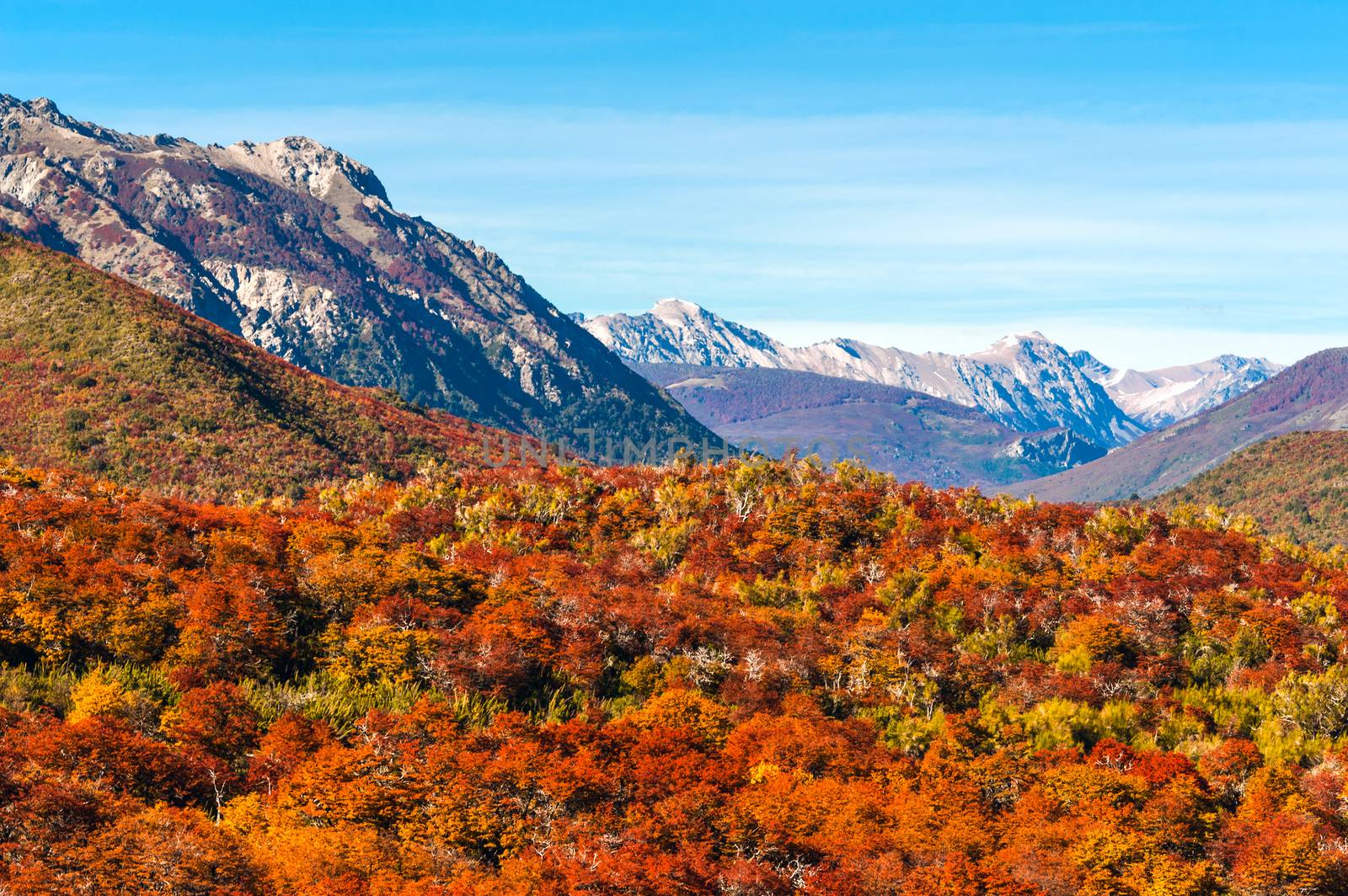 Autumn Colors of Patagonia, near Bariloche, Argentina