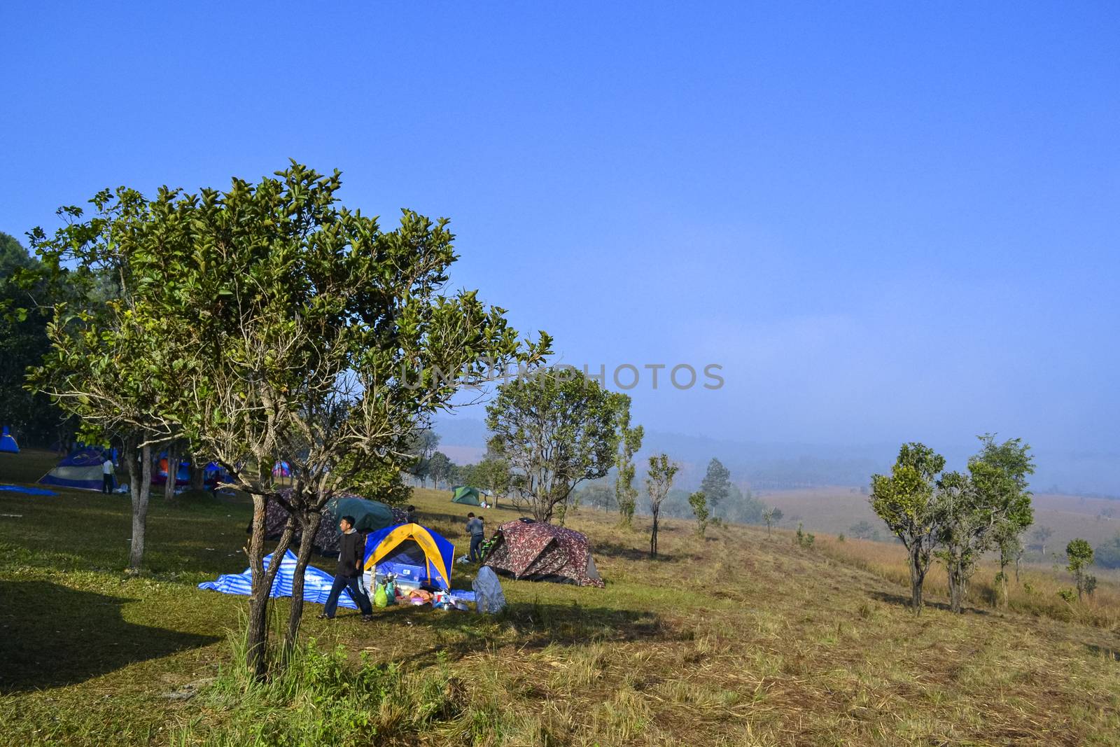 Camping in Savanna landscape and its flora in Thailand, Phetchabun, Salangluang Nationalpark.