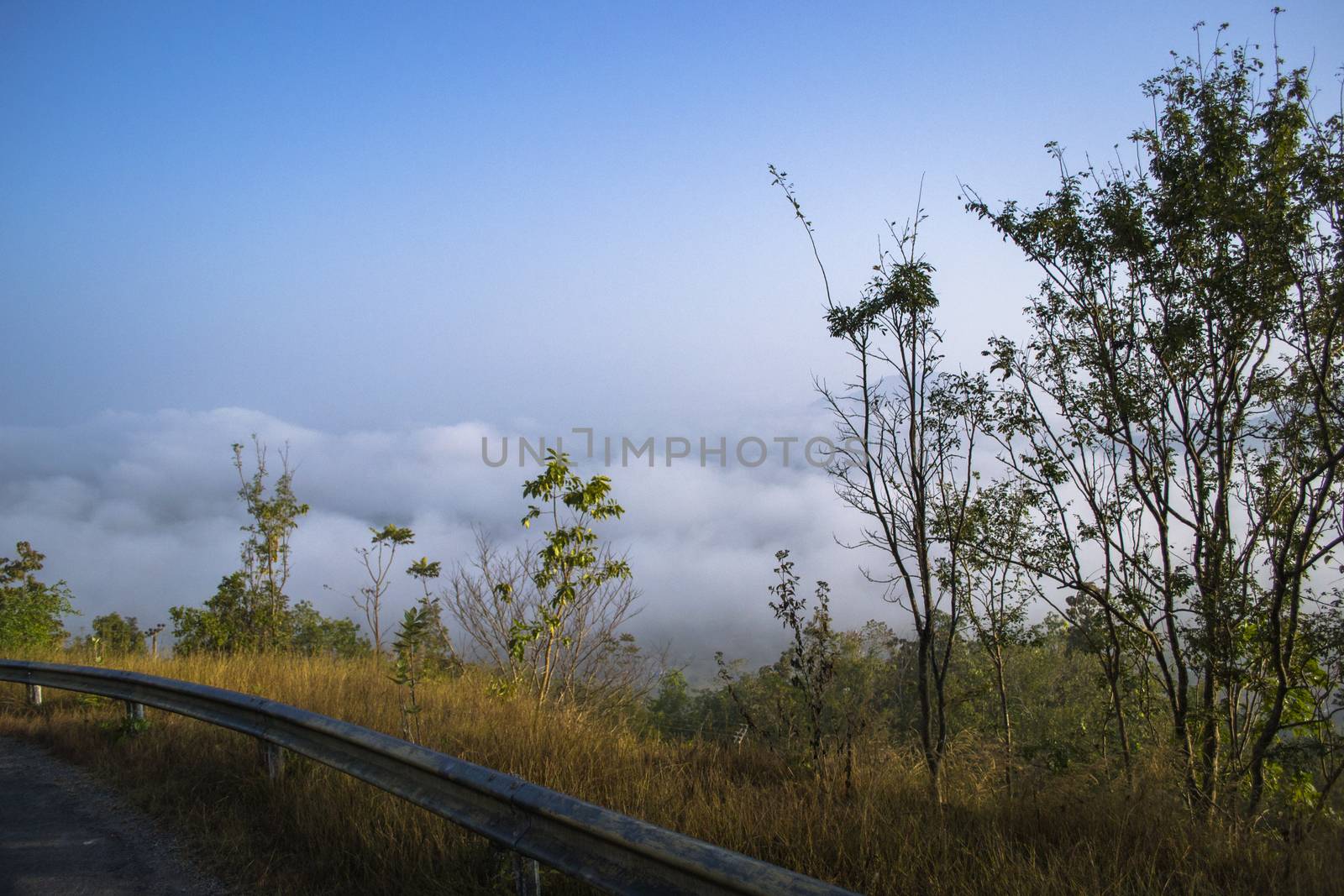 The Way Talamok-Phutok Road to Sea fog Loei Thailand