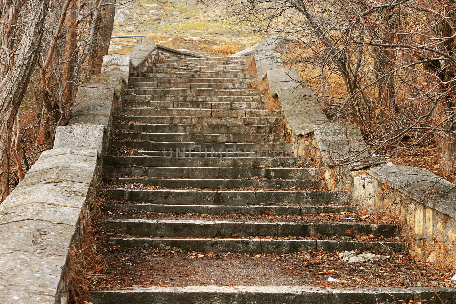 Old stone stairs leading up in autumn park