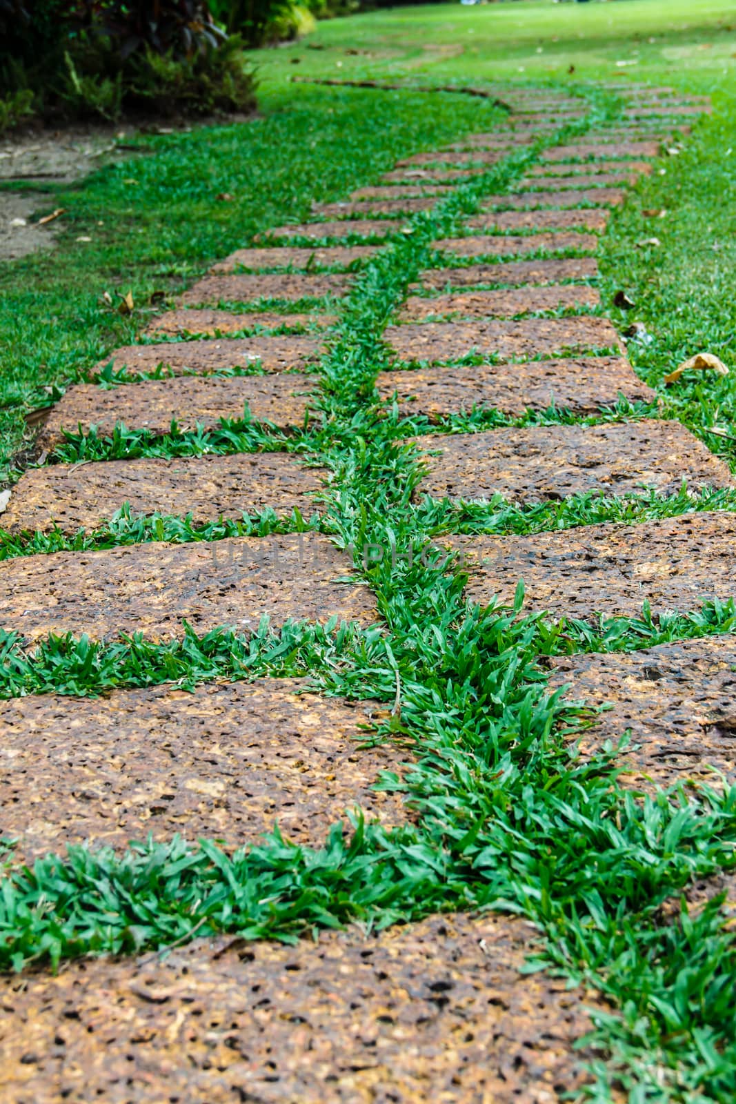 old stone (laterite) footpath on green grass