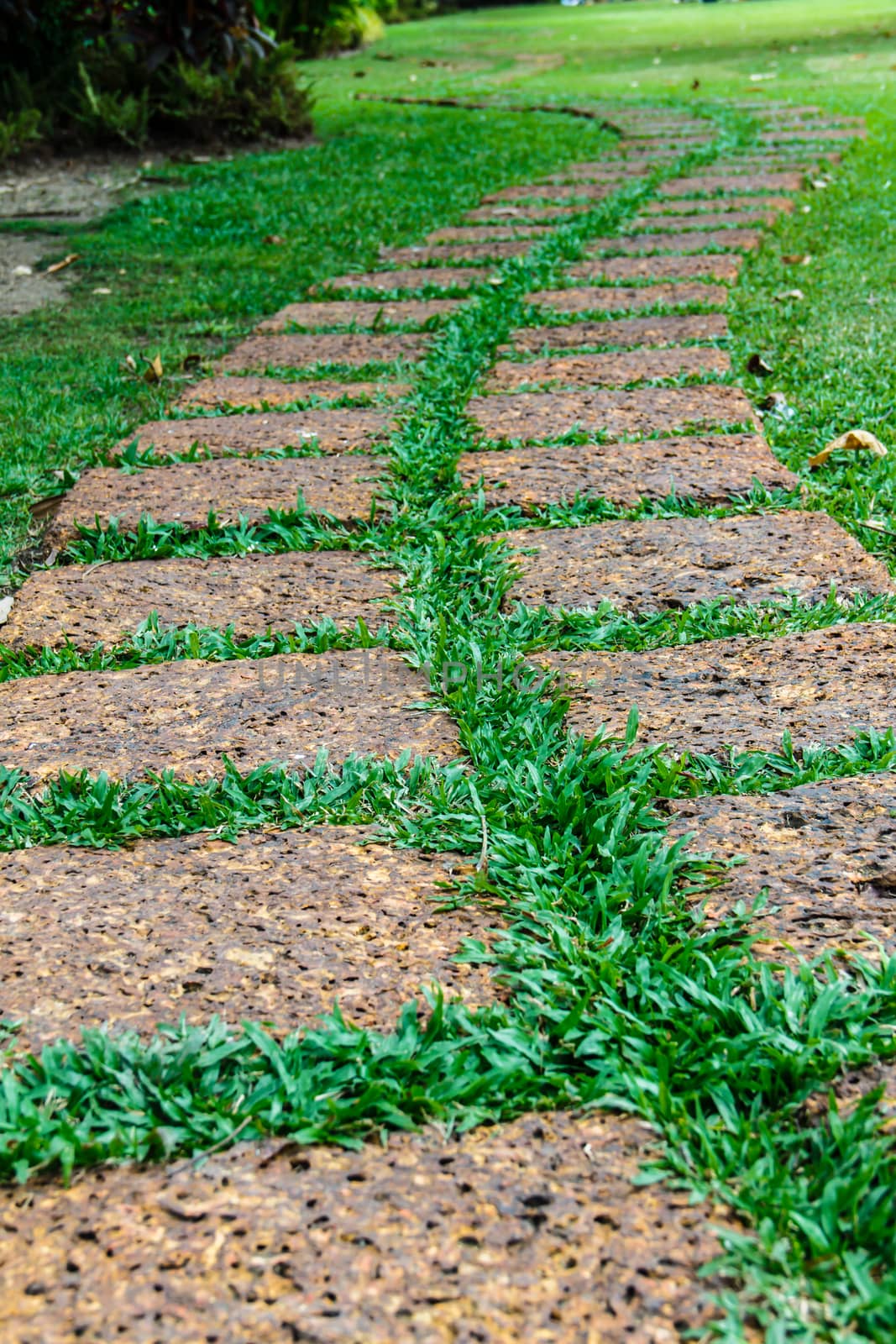 old stone (laterite) footpath on green grass