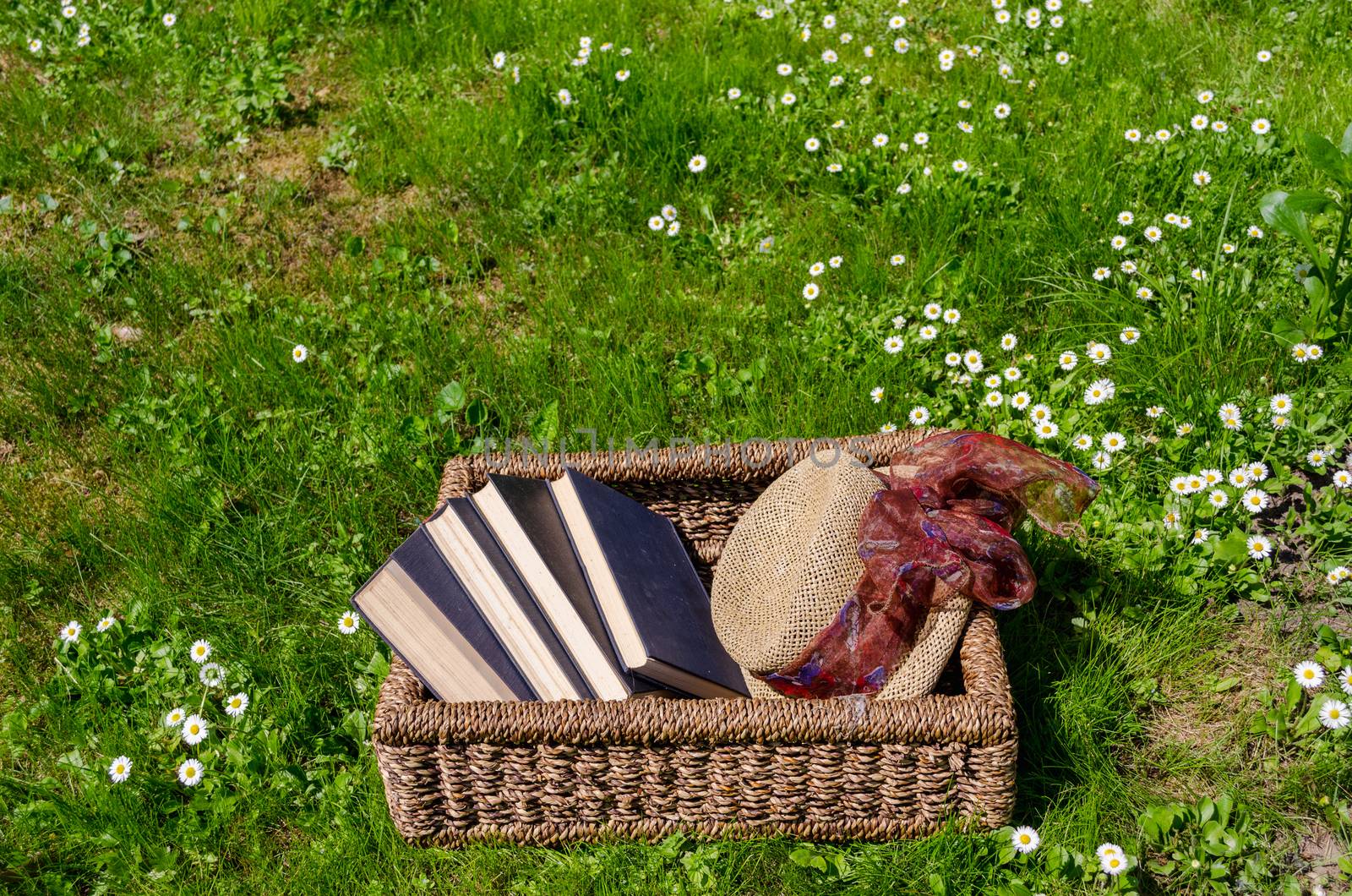 Wicker basket full of books between lawn and daisy flowers and retro hat.