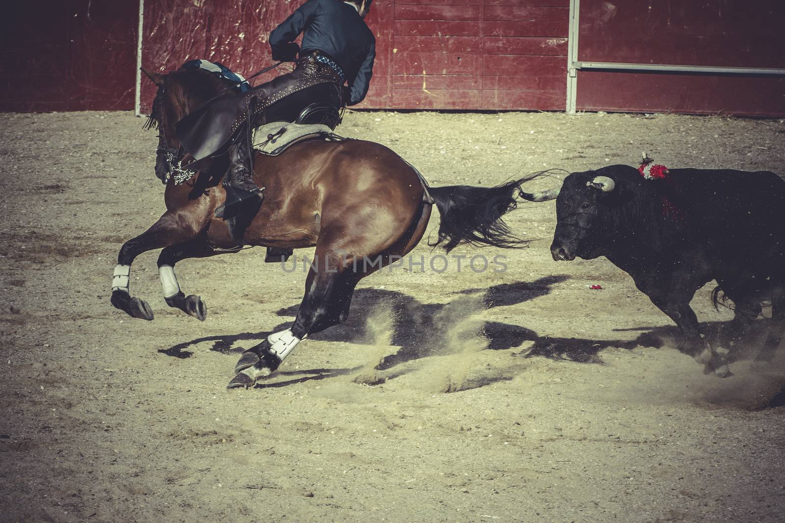 death, bullfight, traditional Spanish party where a matador fighting a bull