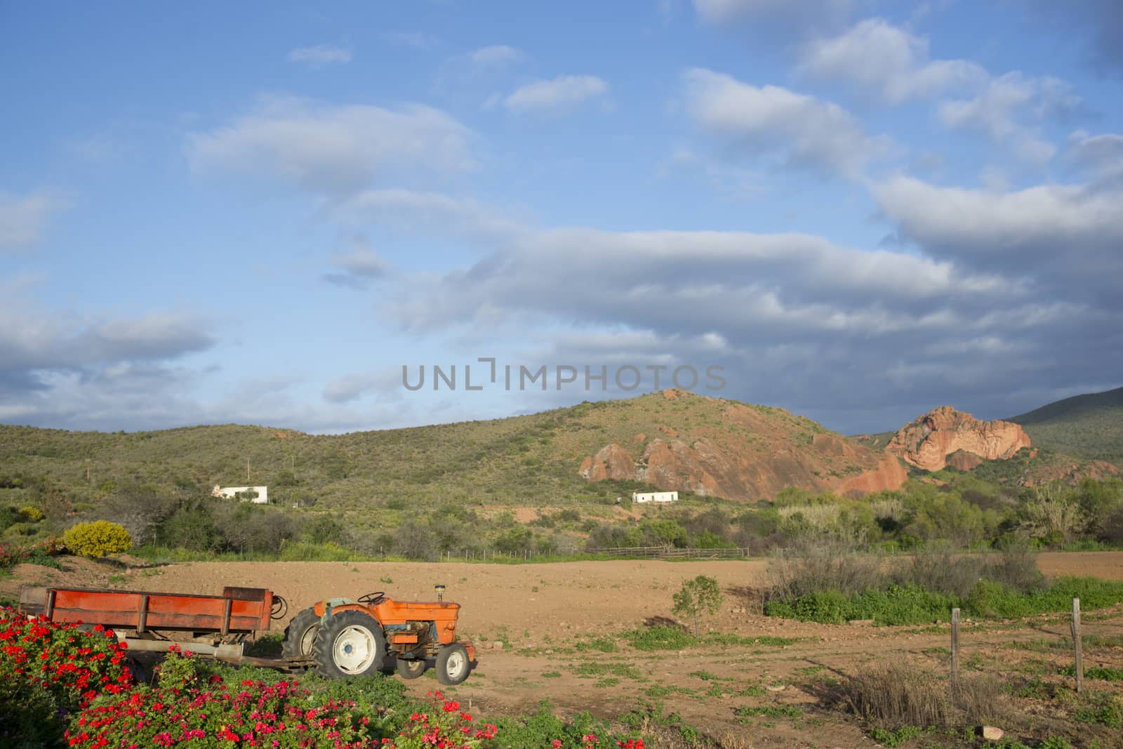 Old tractor on a farm in the Oudtshoorn region of the Western Cape in South Africa