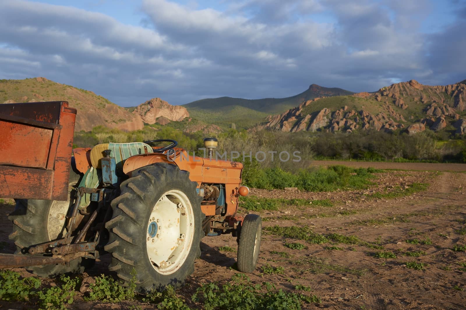 Old tractor on a farm in the Oudtshoorn region of the Western Cape in South Africa
