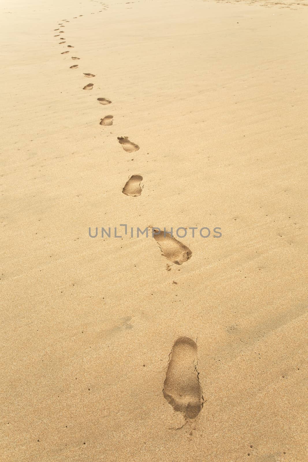 Footsteps in Sand by Gudella