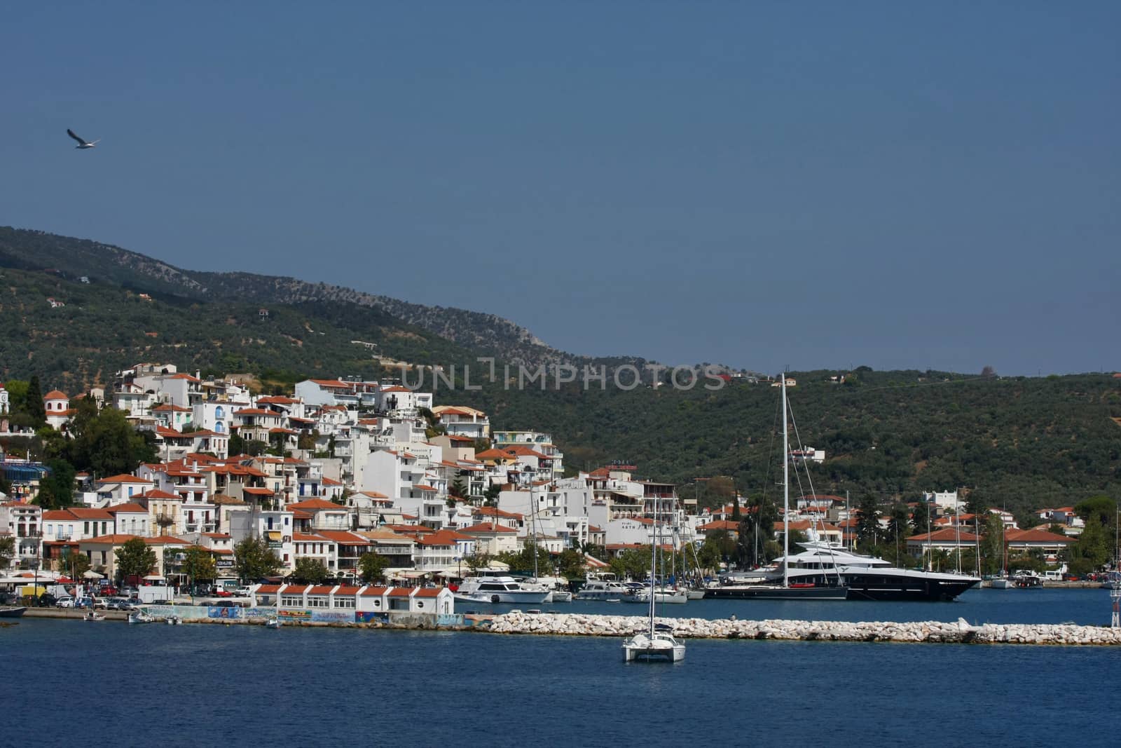 Port of Skiathos,Greece,view from ferry