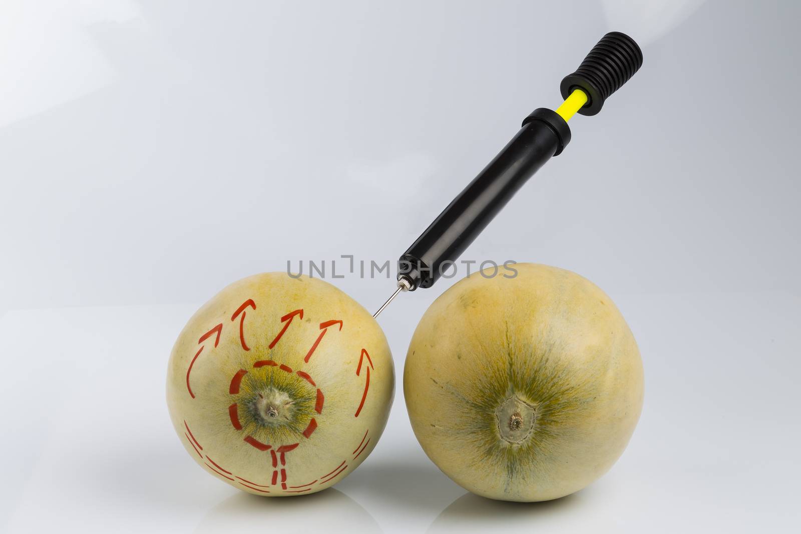 Melons and bicycle pump by paocasa