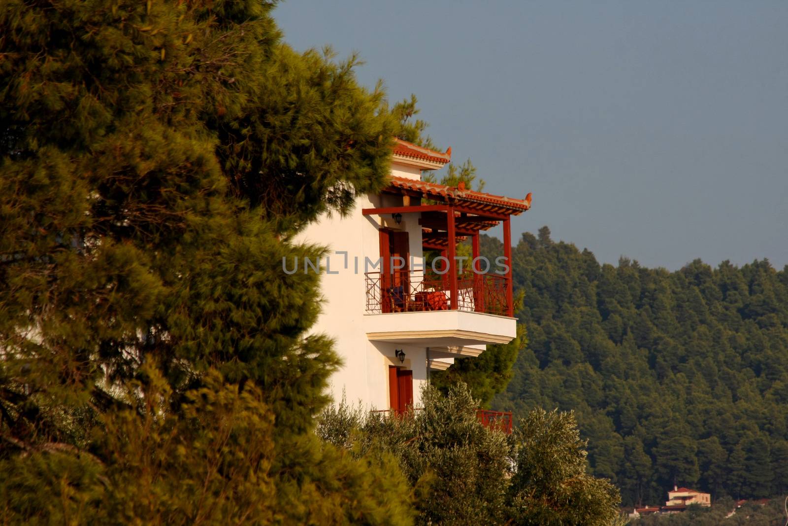 Terrace house on Skopelos island,Greece surrounded withe forest