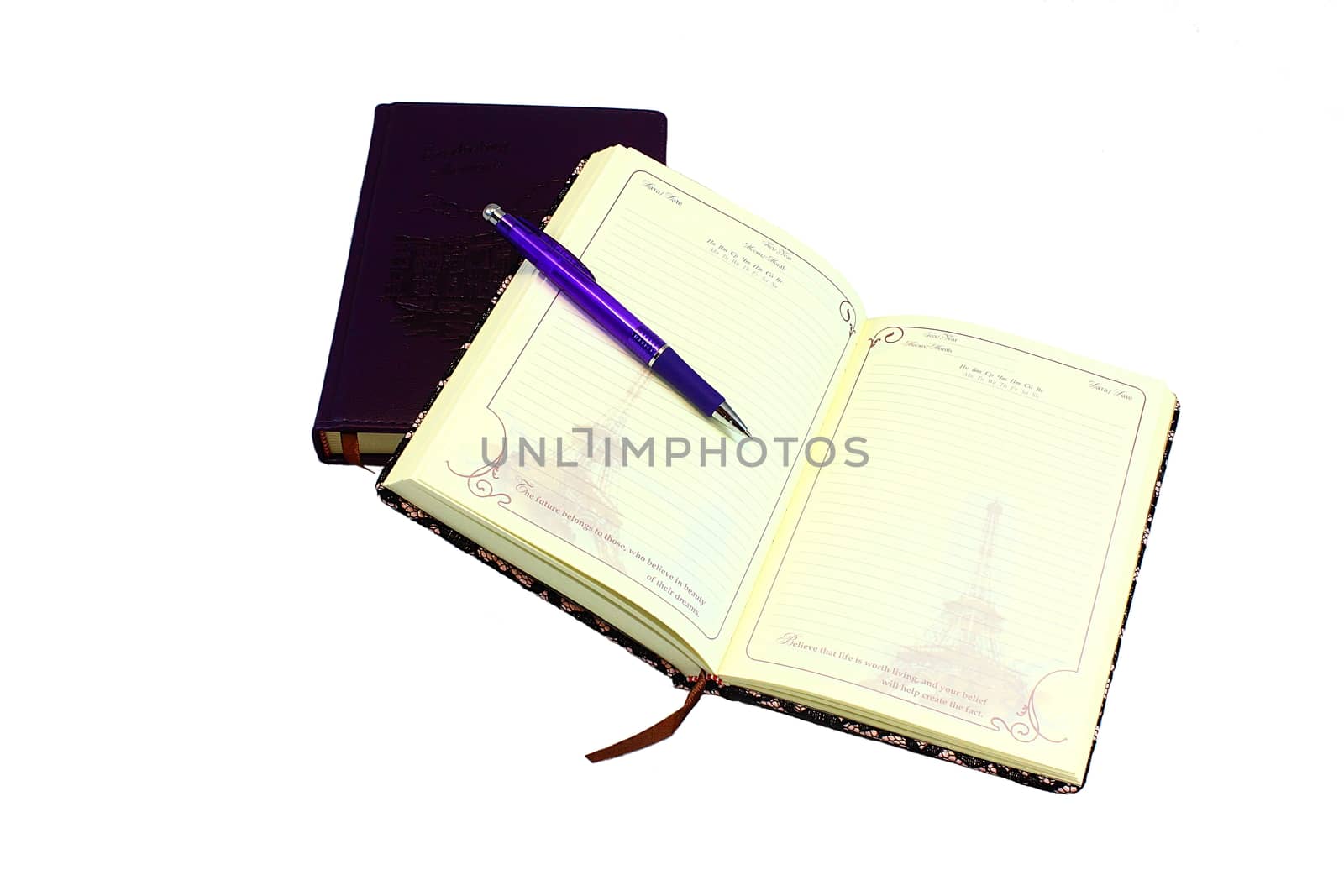 On a white background is an indoor and outdoor diary, on which lies the pen