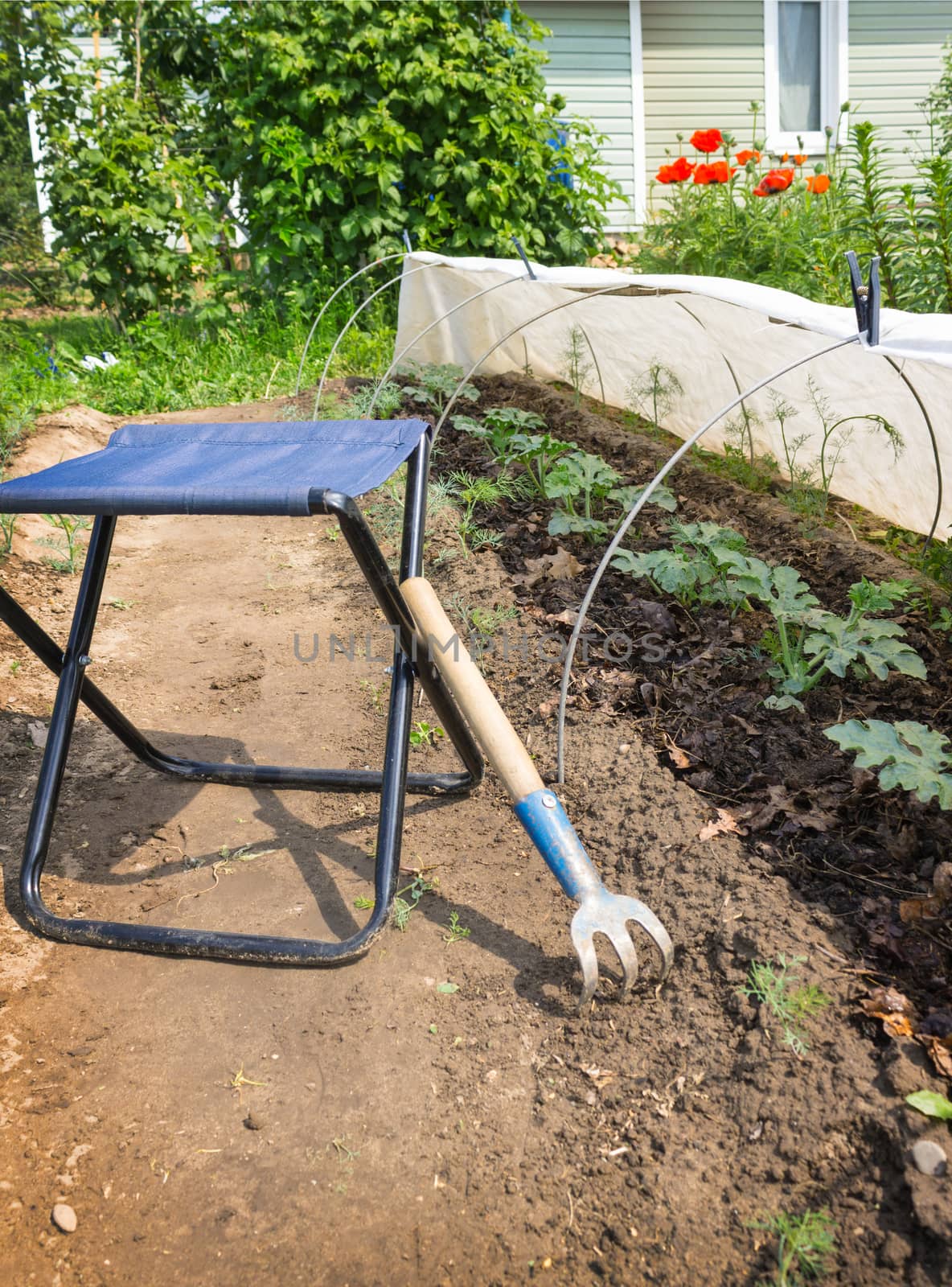 Folding chair and rake near the vegetable garden