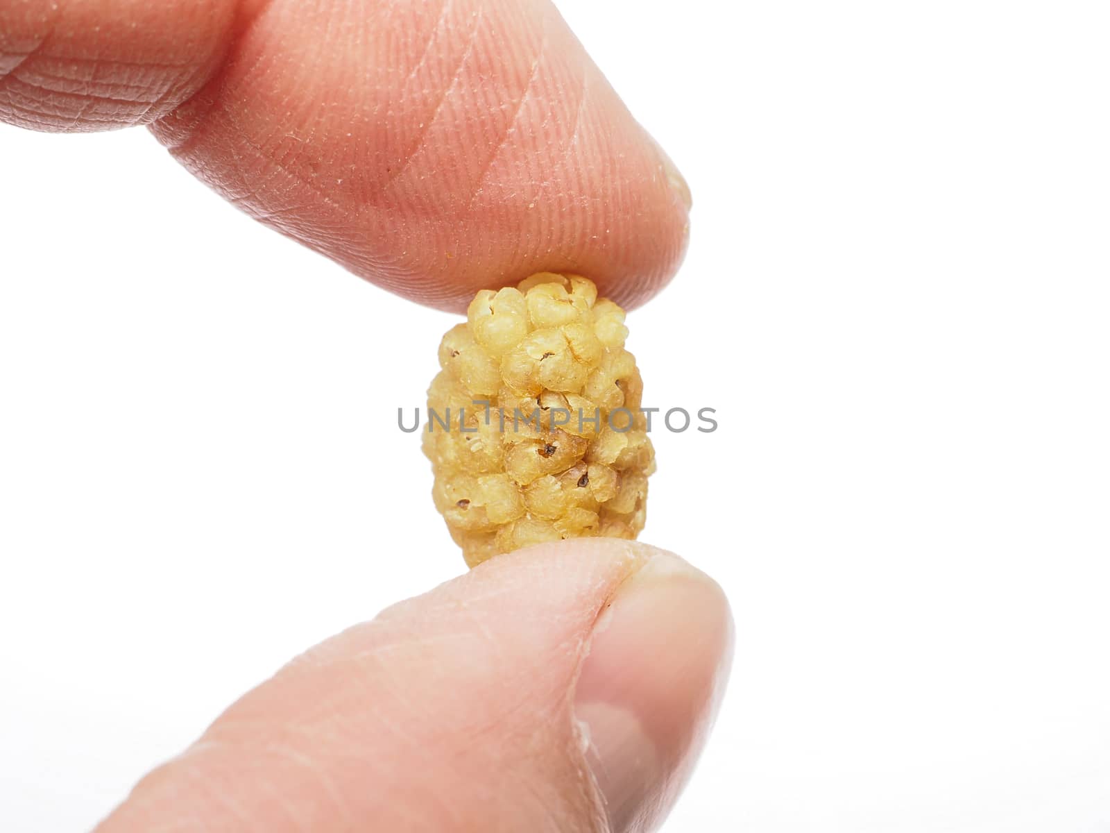 Person holding up dried mulberry between two fingers towards white