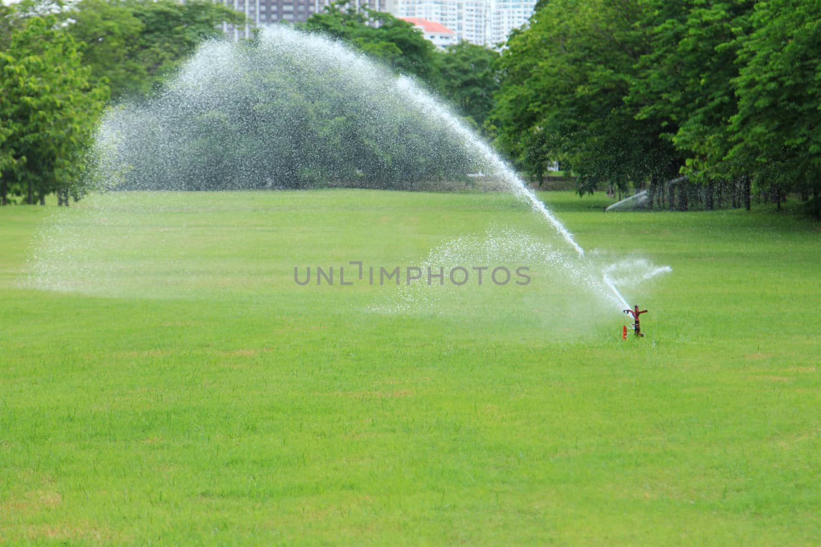 Water sprinkler