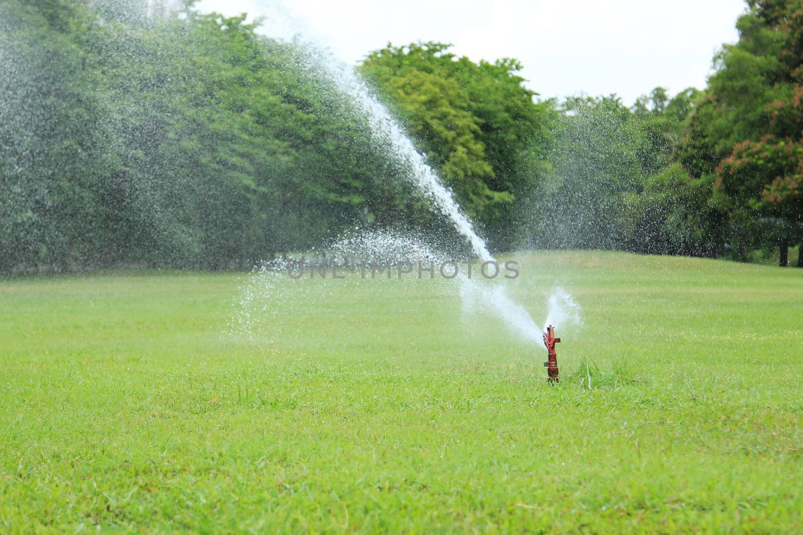 Water sprinkler