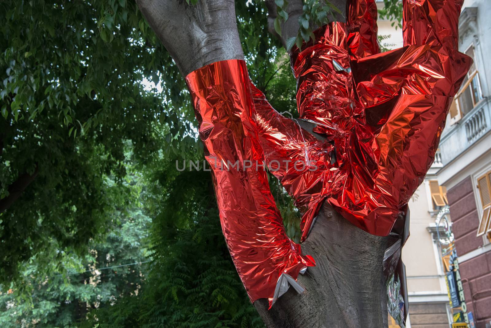 tree covered with red paper