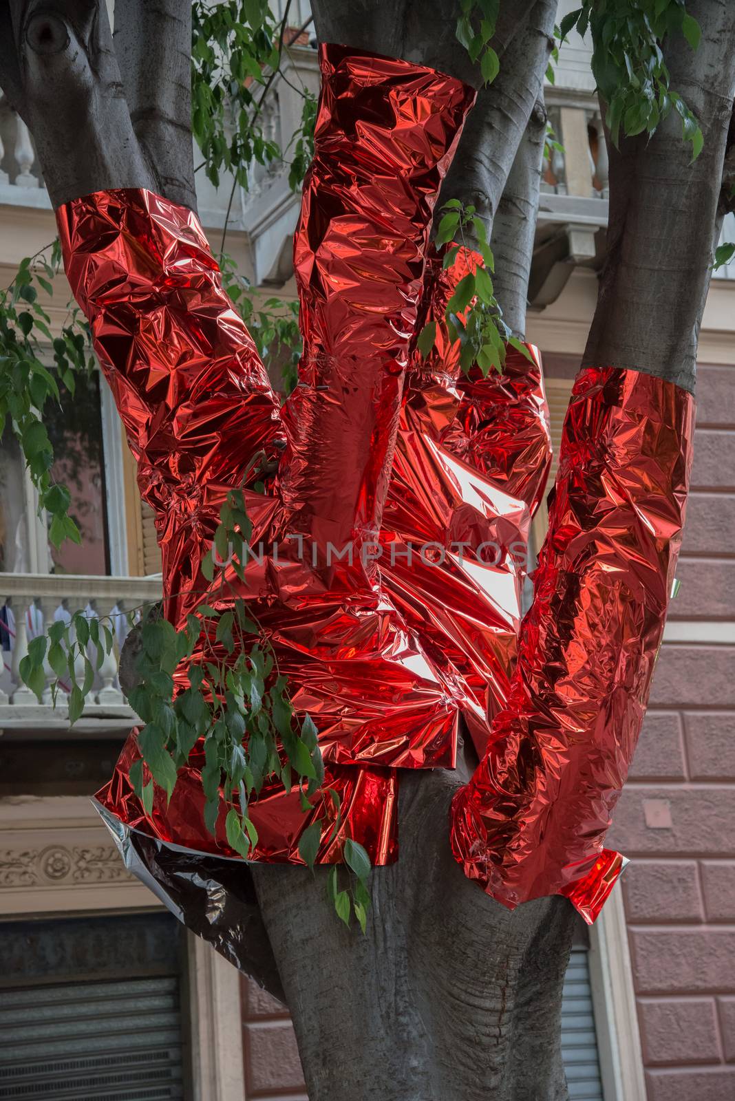 tree covered with red paper