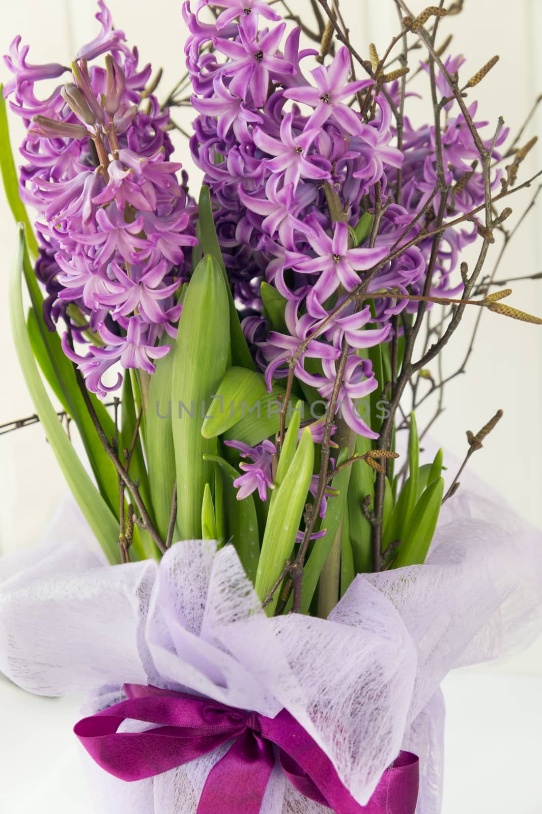 bouquet of blooming hyacinths with birch branches
