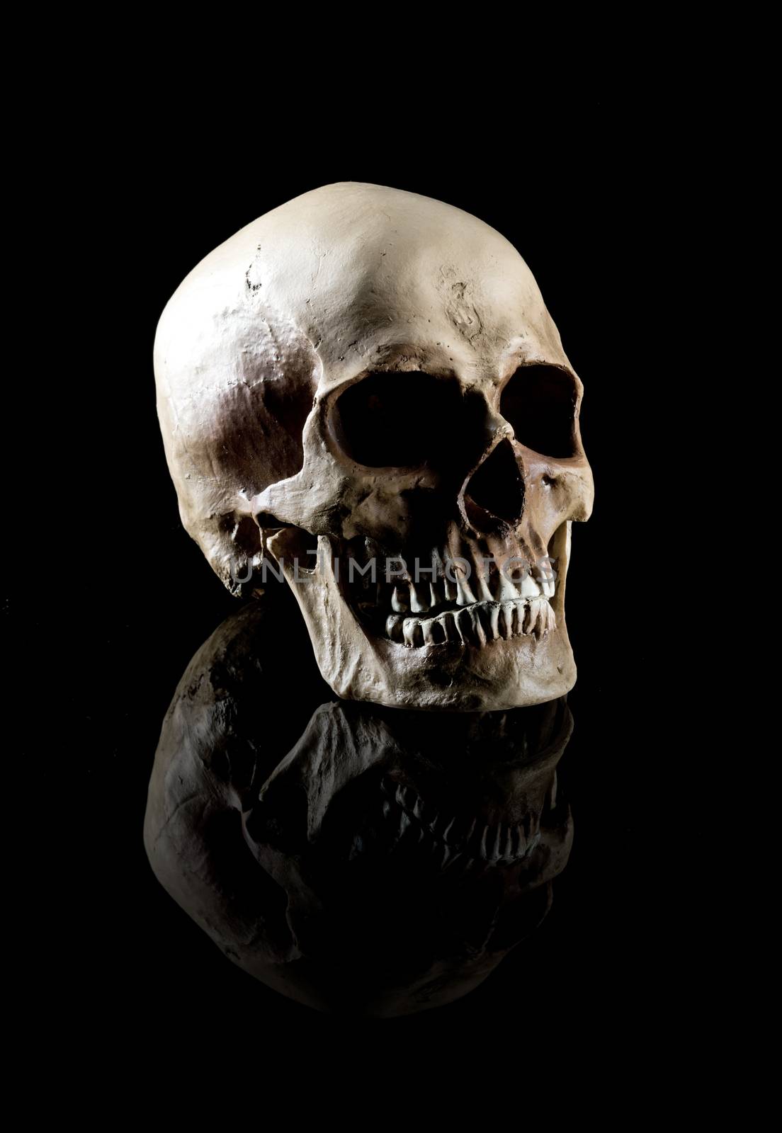 A Natural human skull on black background.