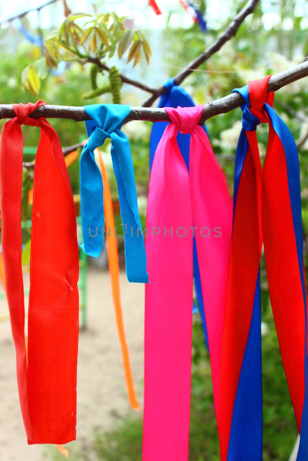 On a tree branch hanging silk ribbons: red, blue, blue, pink