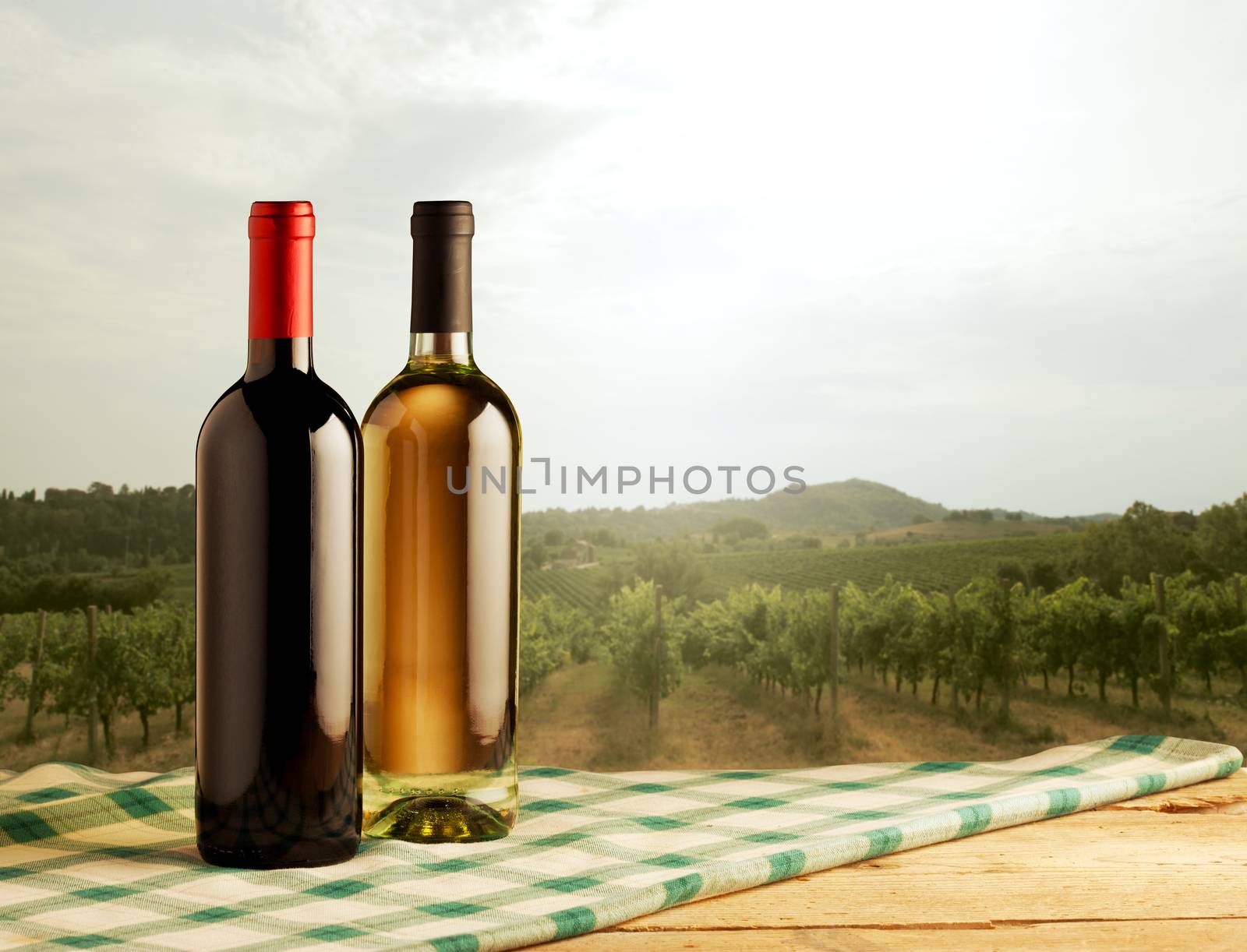 Red and white wine bottles standing on checked tablecloth and vineyard on background.