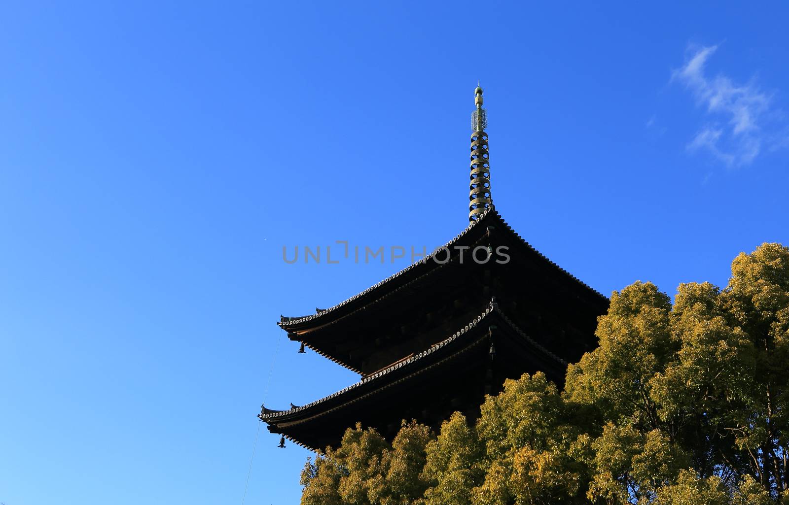 Daigoji Temple Five-storied Pagoda in spring, kyoto, japan by rufous