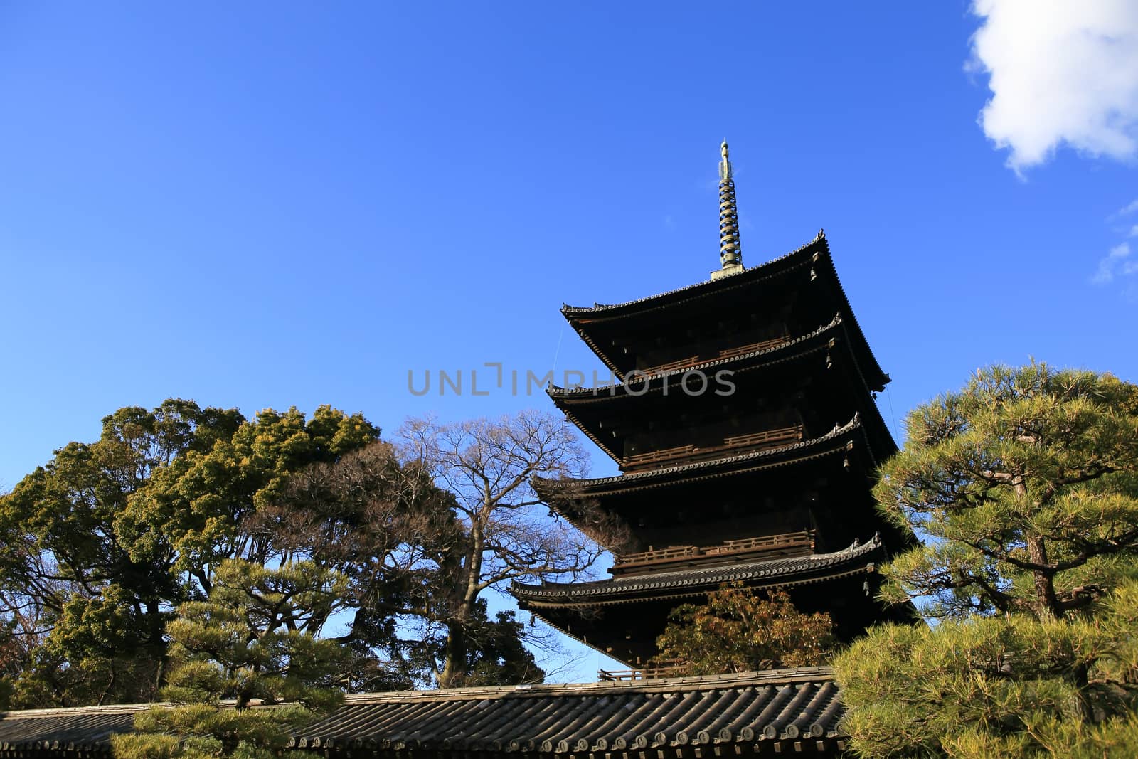 Daigoji Temple Five-storied Pagoda in spring, kyoto, japan by rufous