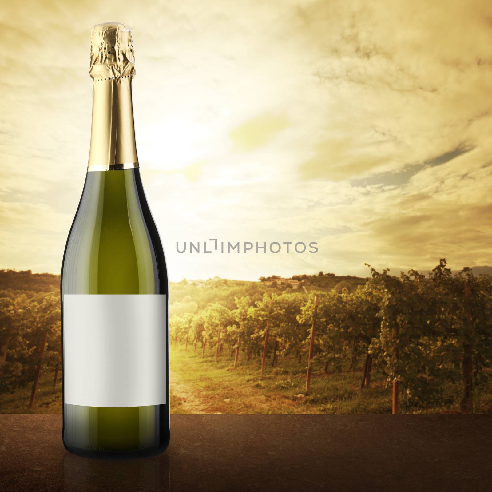 White wine bottle close up with lush natural landscape on background with vineyard.