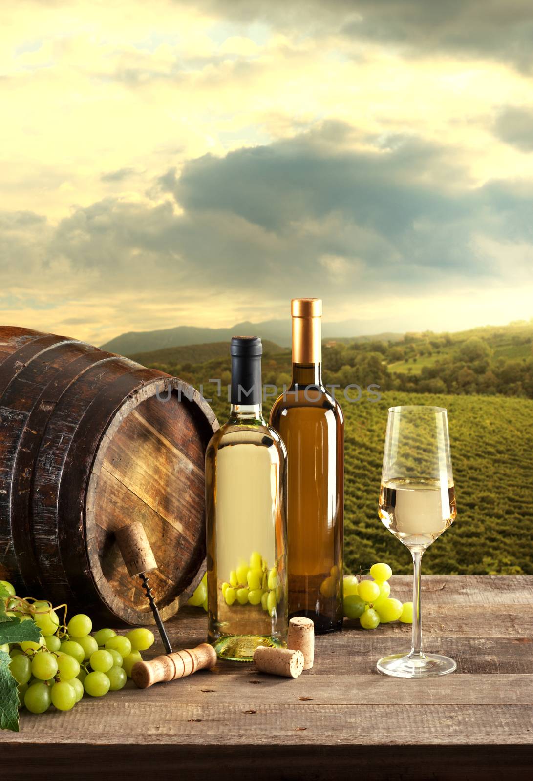 Wine bottles with barrel still life and lush natural landscape on background with vineyards.