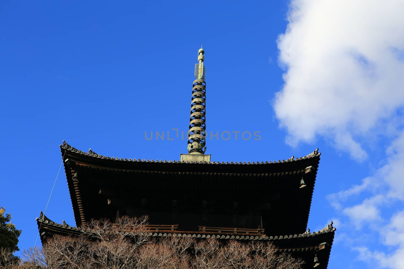 Daigoji Temple Five-storied Pagoda in spring, kyoto, japan