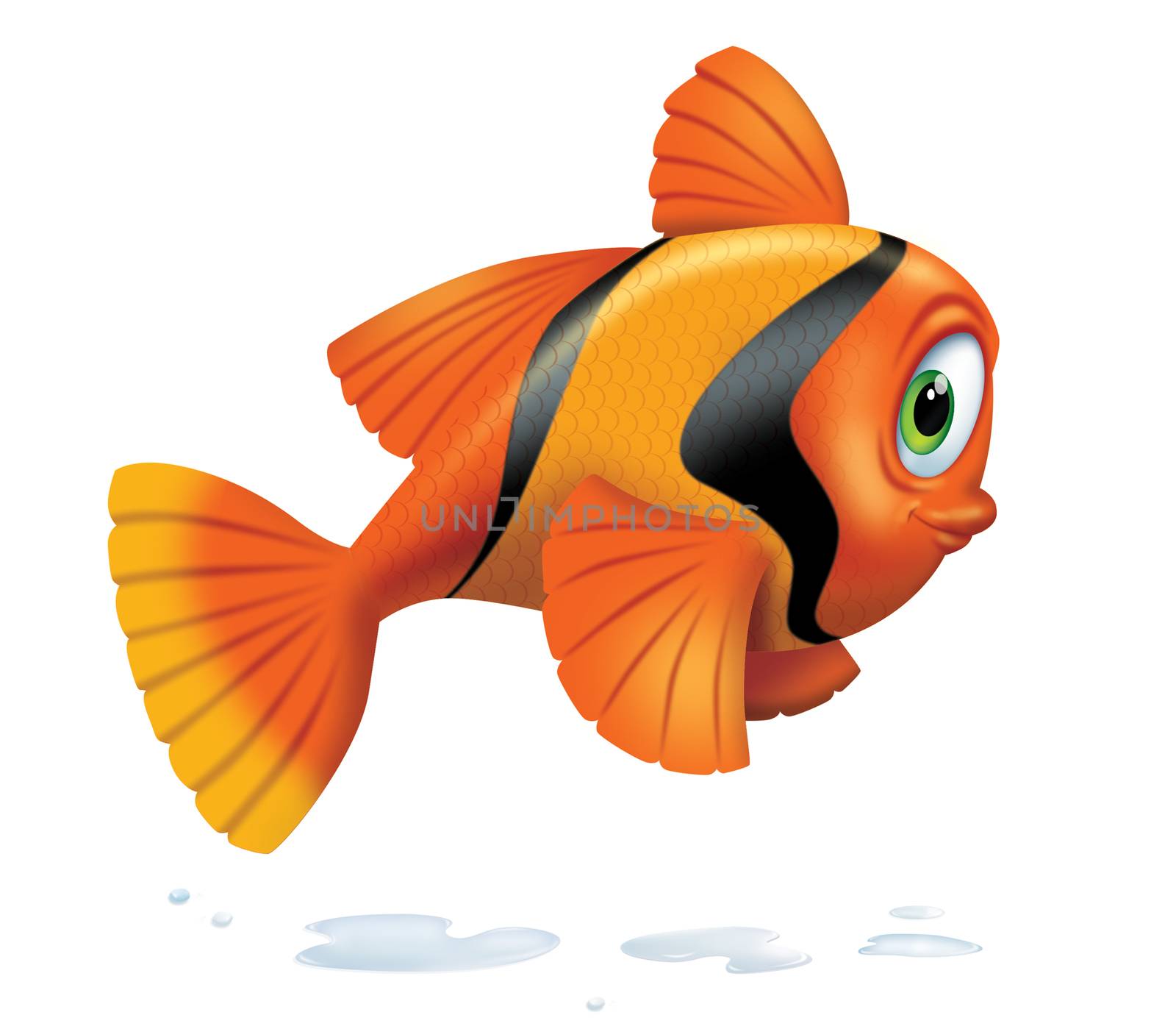 Cute striped goldfish jumping and smiling with water drops on white background.