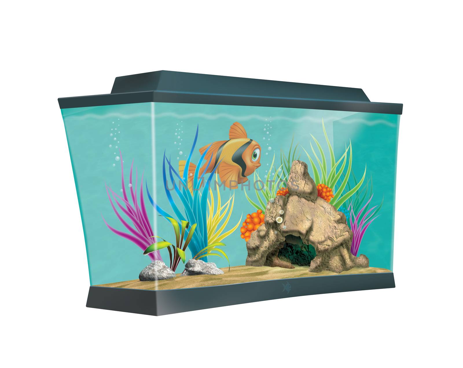 Cute striped goldfish swimming in a colorful aquarium with water plants and stone cavern.