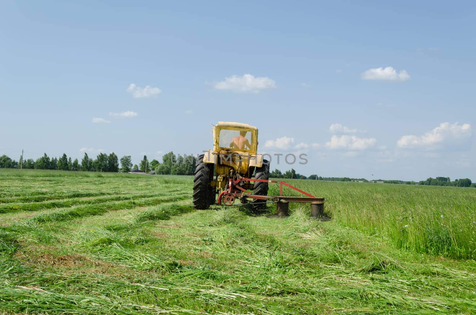 tractor makes sharp turn in the meadow and leaves evenly cut grass tufts