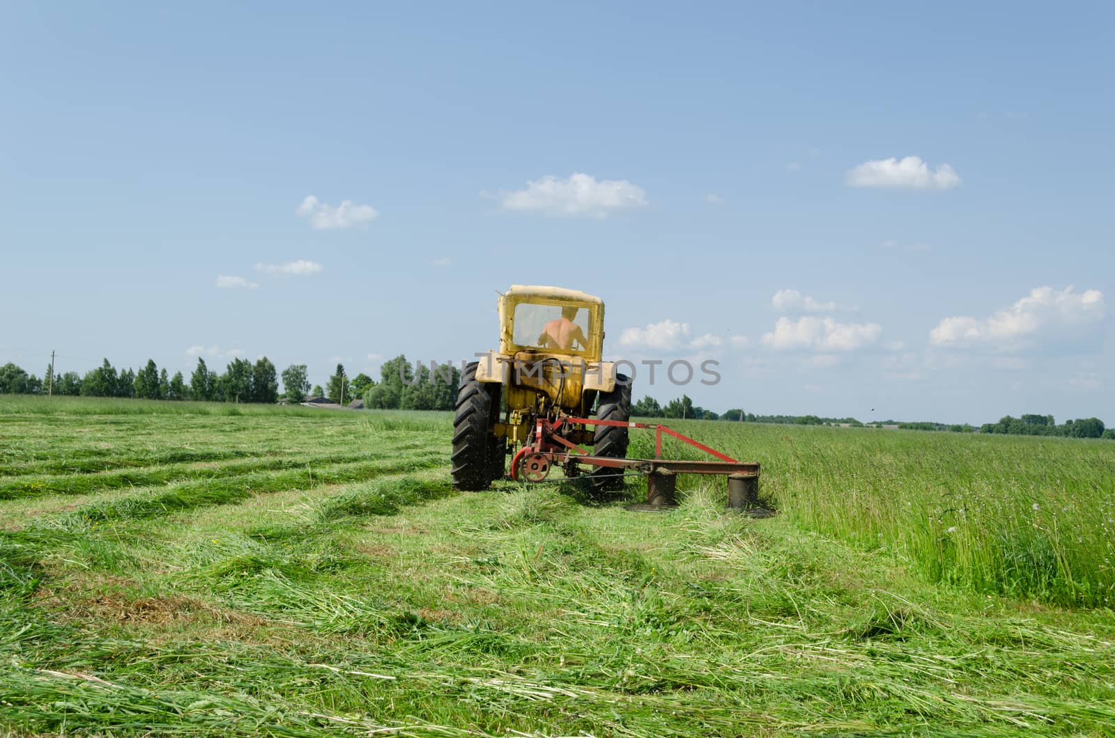 tractor makes sharp turn in the meadow and leaves evenly cut grass tufts