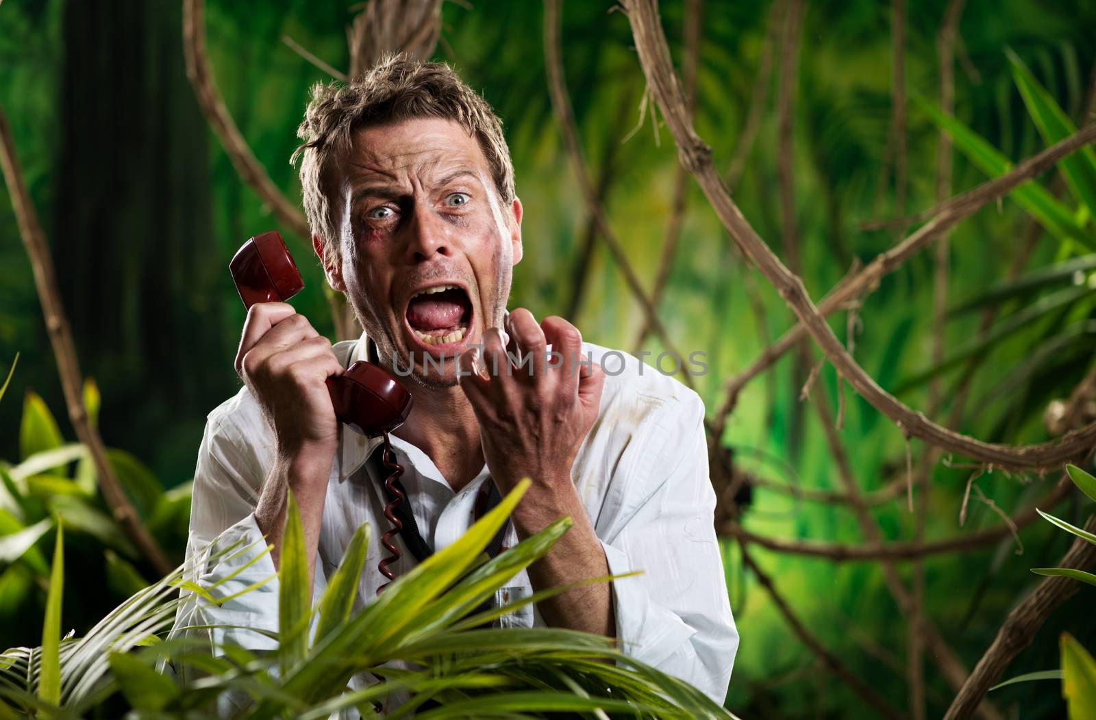 Furious businessman on the phone lost in jungle by stokkete