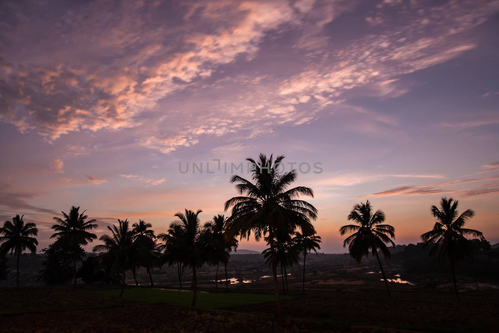 Beautiful sky after sunset and palm tree silhouettes by juhku