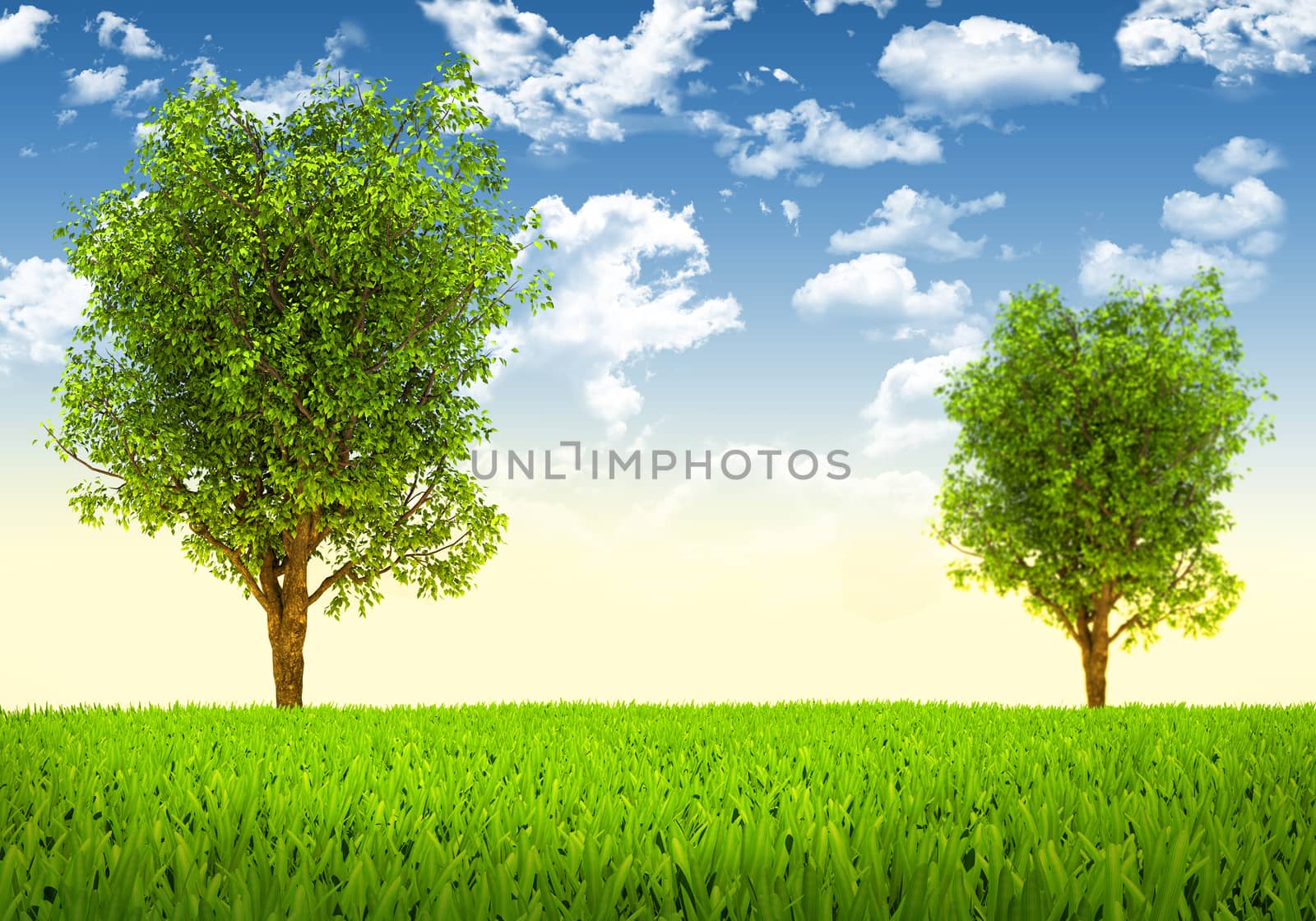 Trees and green landscape. Beautiful natural background