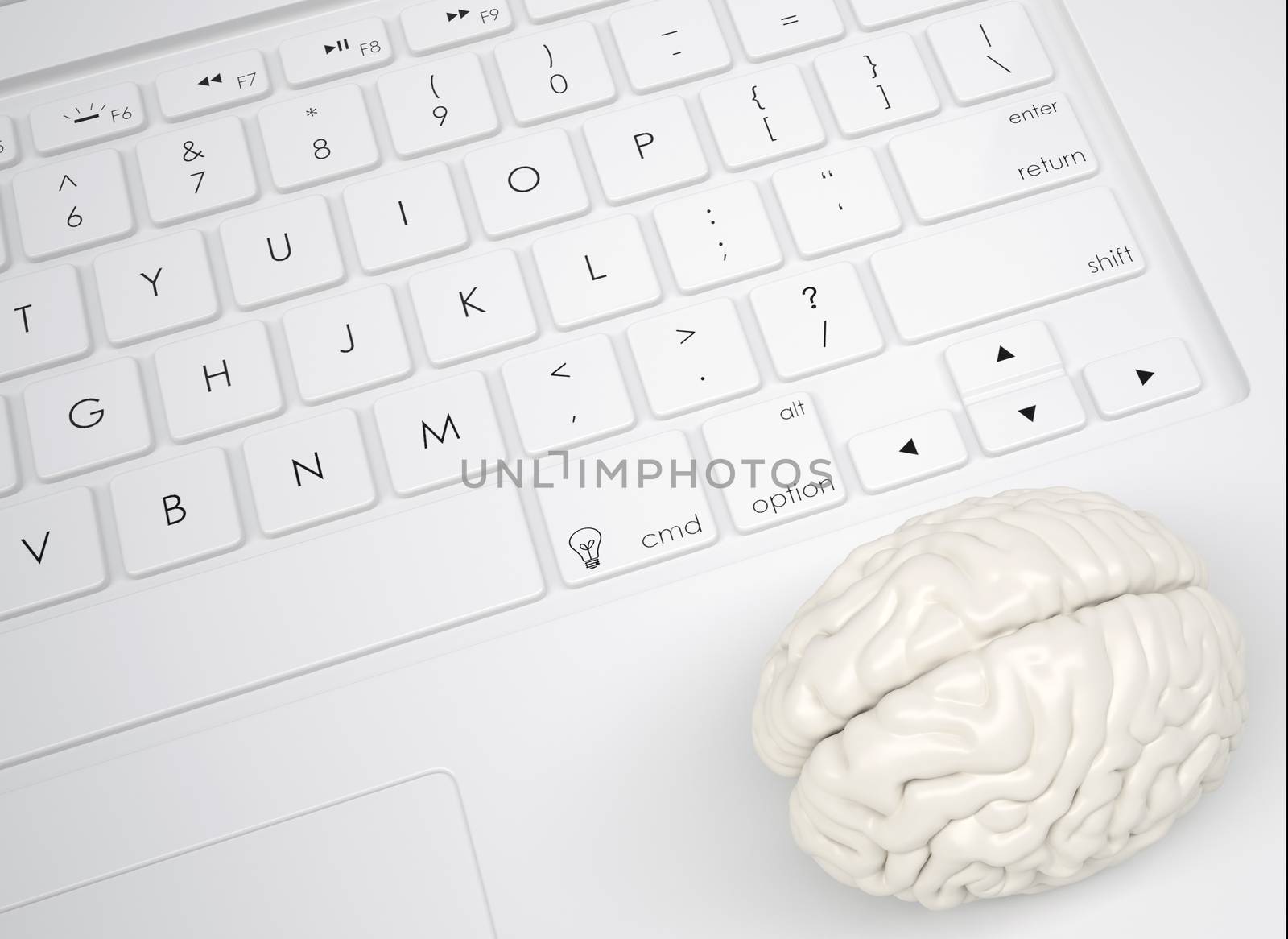 White brain on the keyboard. View from above