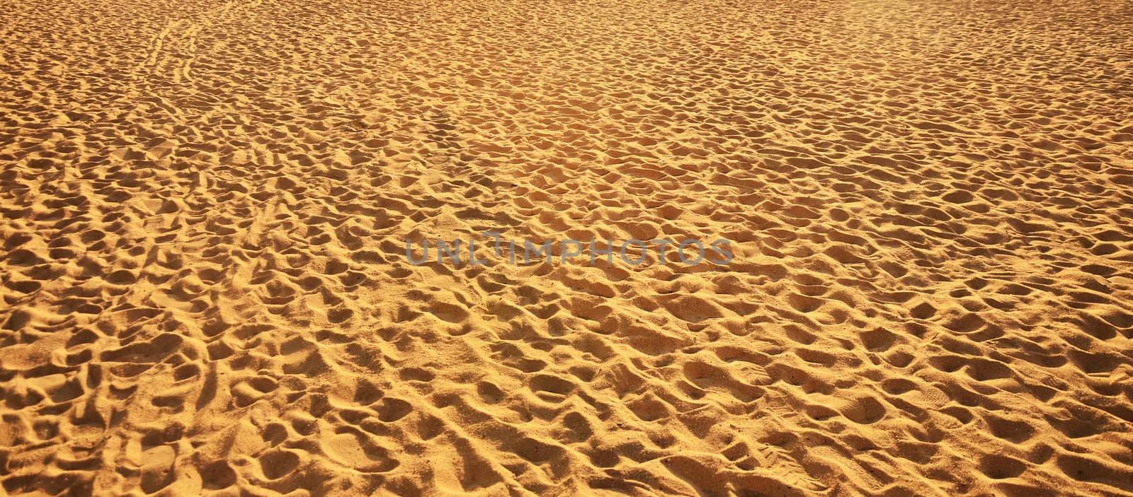 Sand backgrounds and texture with footprints.