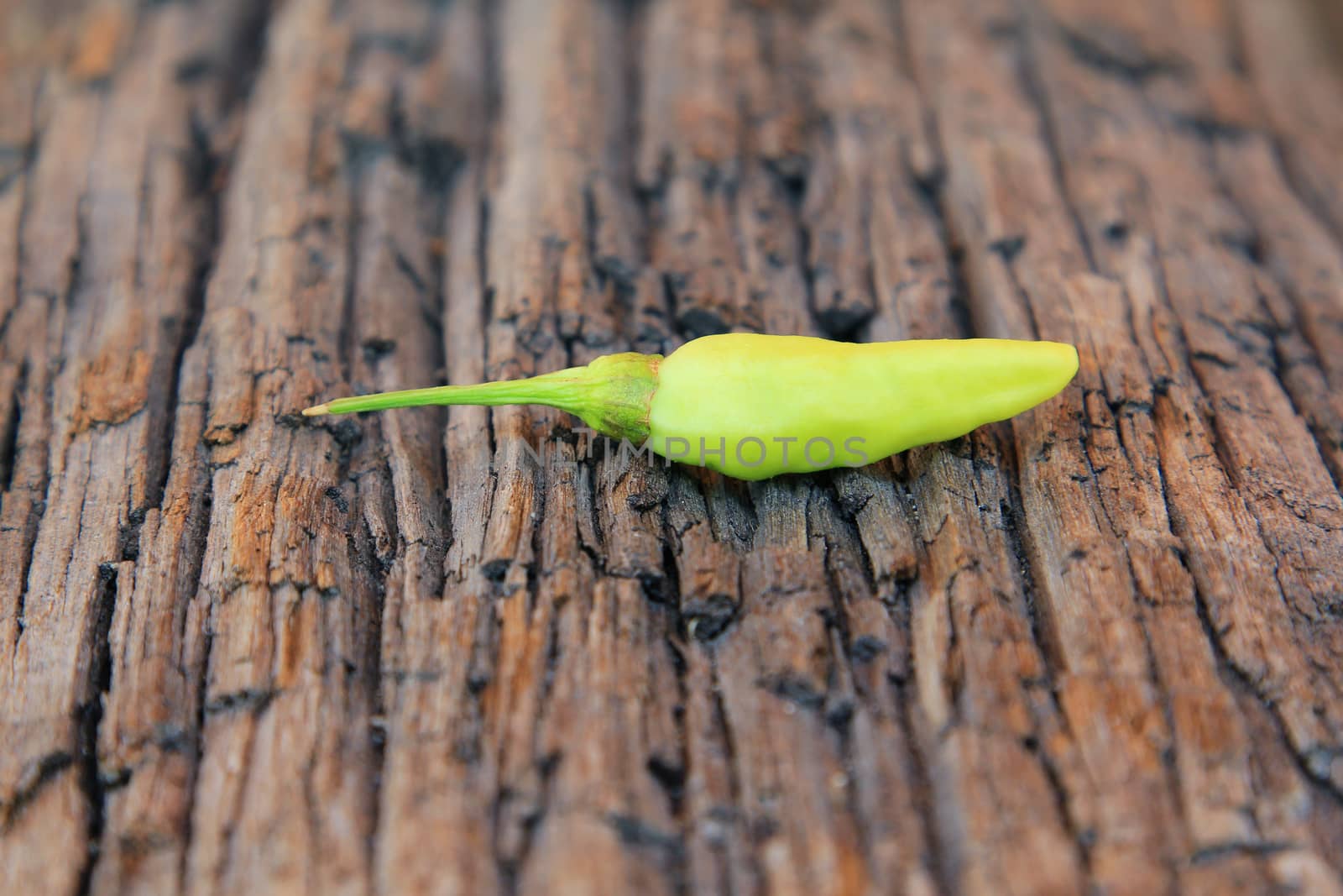 Hot chili pepper on old wooden background