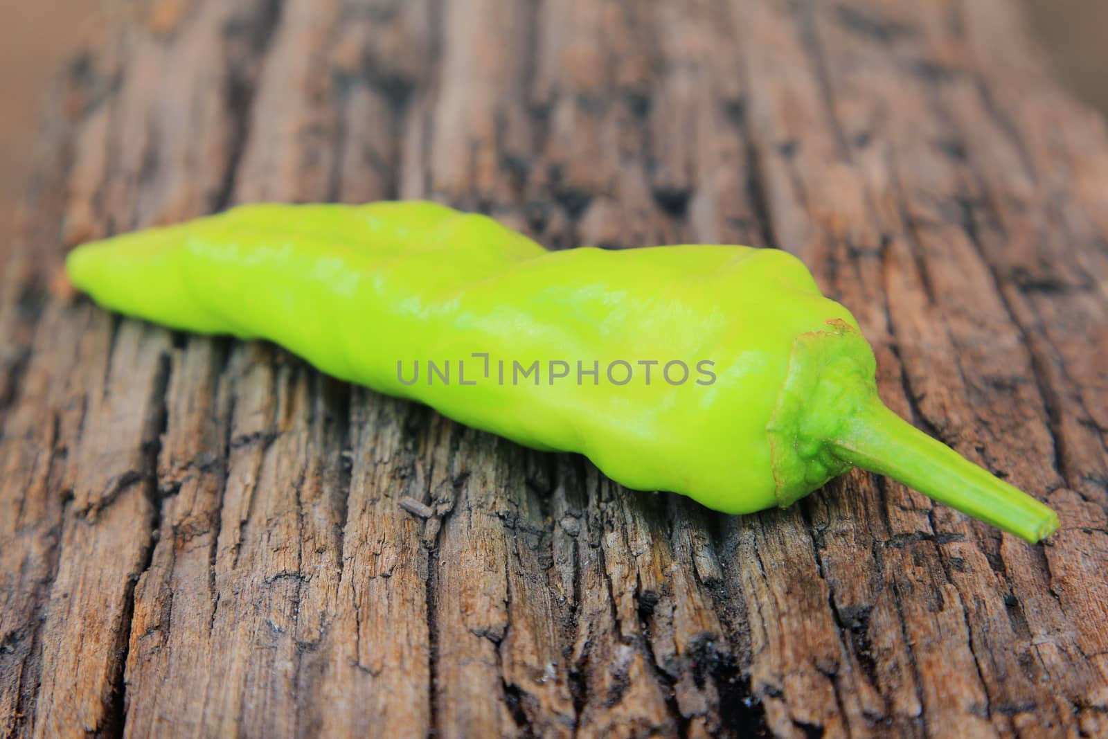 Hot chili pepper on old wooden background