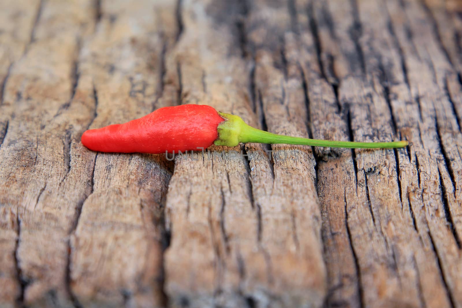 Hot chili pepper on old wooden background