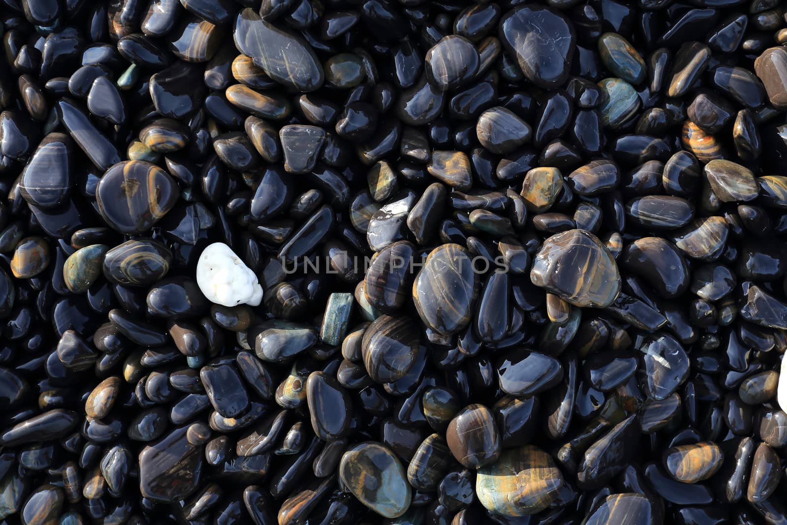 Colorful pebbles touching wave by rufous