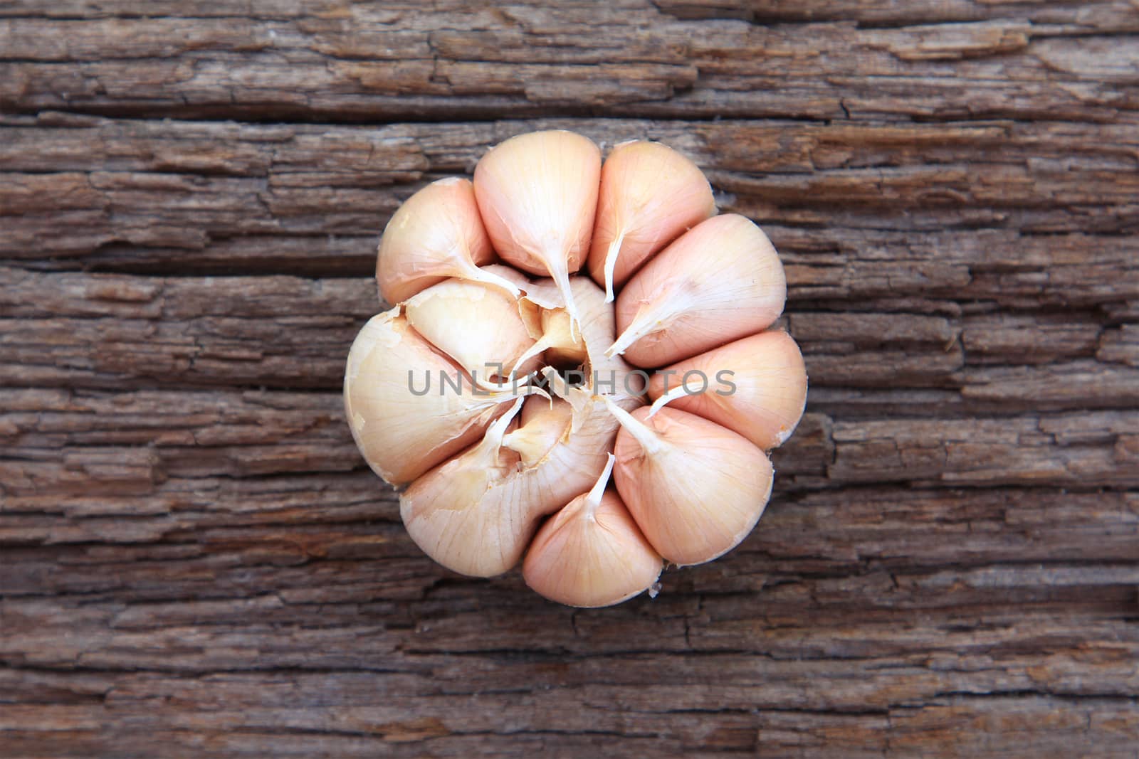 Garlic whole on the wooden background