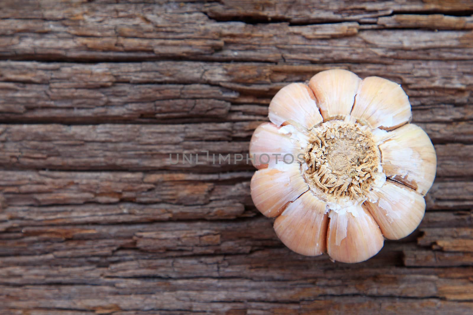 Garlic whole on the wooden background