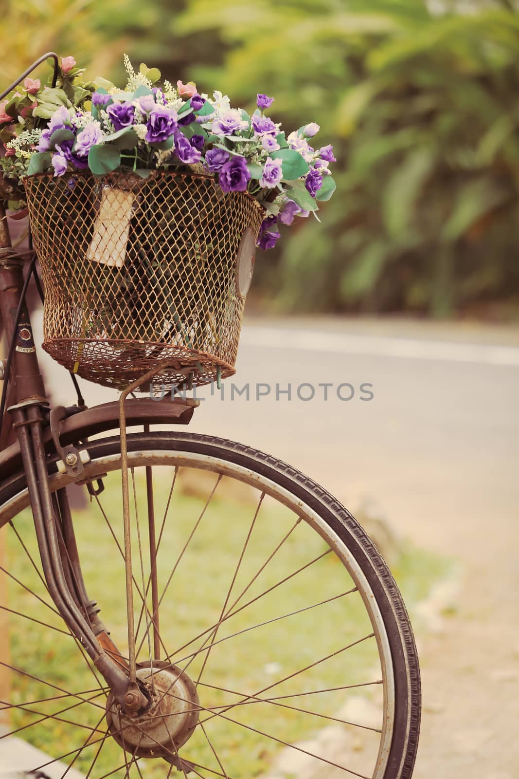 The bike basket with roses